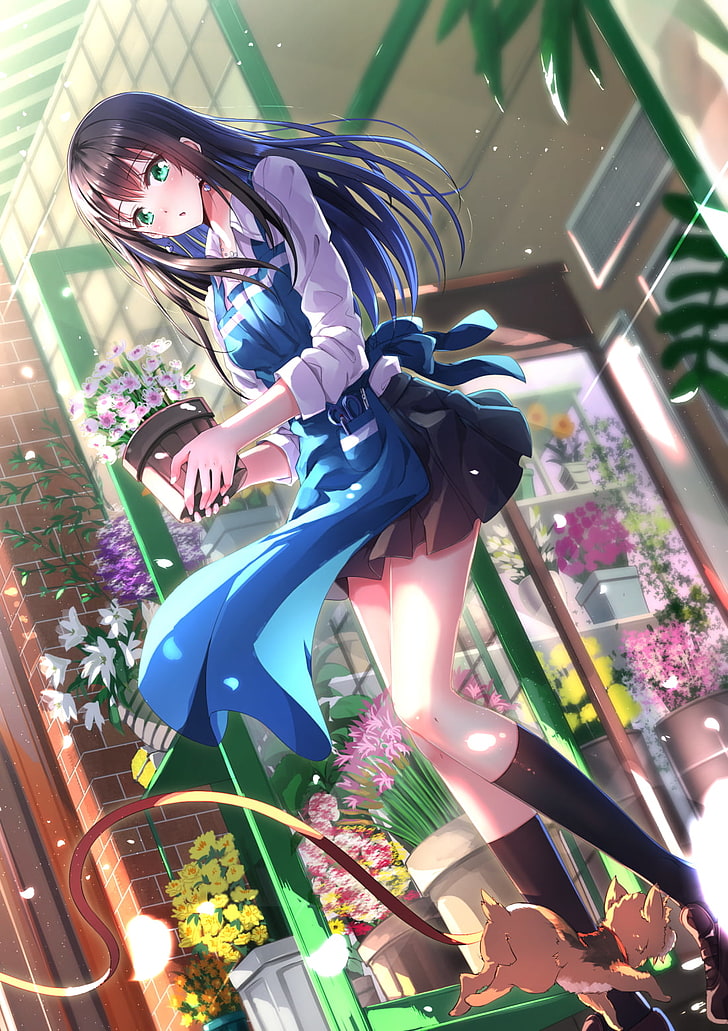 Swordsouls, anime girls, Shibuya Rin, HD wallpaper